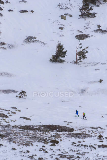 Esquiadores esquí de fondo entre árboles que crecen en la ladera de la montaña nevada en un día soleado. - foto de stock