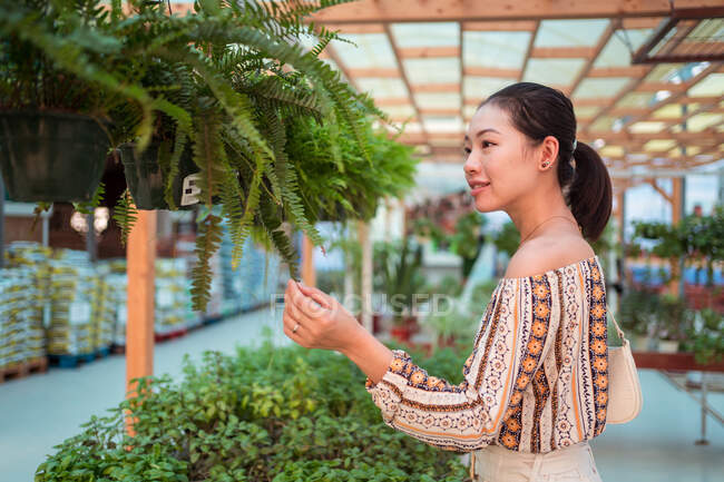 Vista laterale di maturo acquirente femminile in maschera tessile raccogliendo alberi verdi in vaso in negozio giardino nella giornata di sole — Foto stock