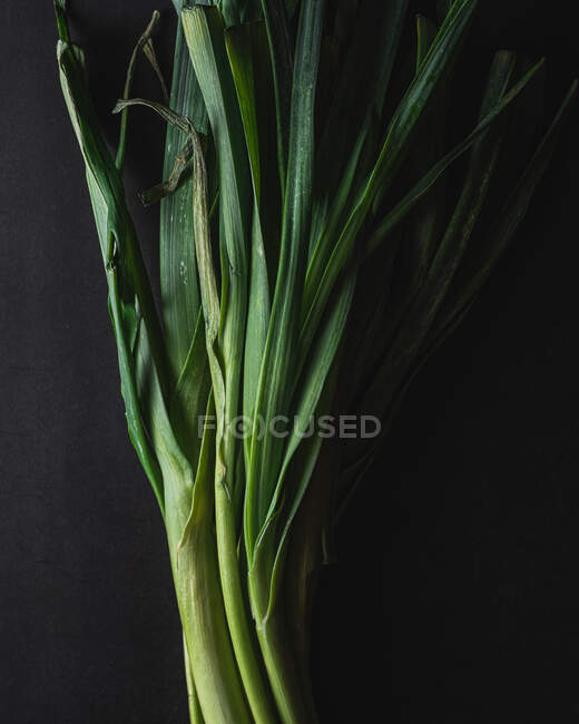 From above of fresh raw leeks with green stems placed on black surface — Stock Photo