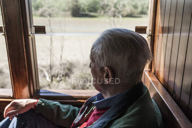 Journey to the memory of an old man in the train of his youth, attractive man and old man traveling in an old wooden train carriage, looking out the window — Stock Photo