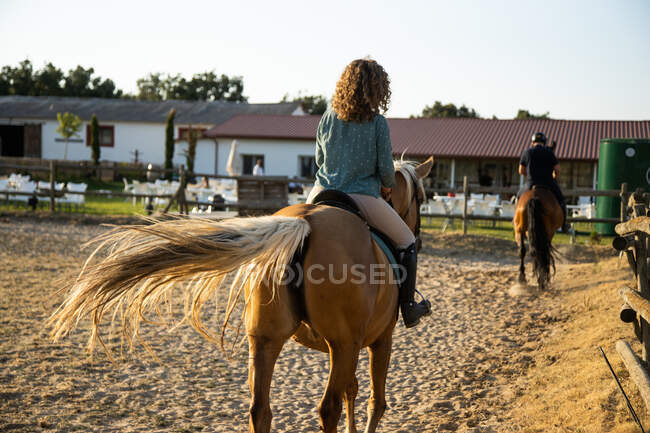 Vista posteriore di anonima femmina con trainer maschio cavalcando stalloni in campagna nella giornata di sole — Foto stock