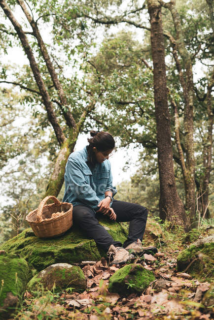 Happy smiling female mycologist sitting on mossy boulder with basket full of Lactarius deliciosus mushroom in forest — Stock Photo