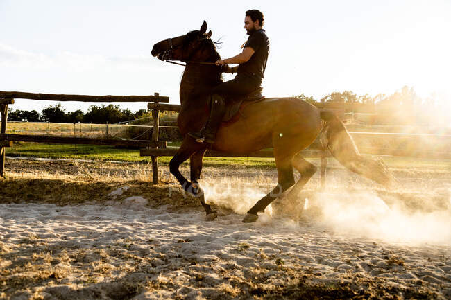 Vista lateral do garanhão de equitação masculino adulto na terra arenosa com poeira sob o céu brilhante na parte traseira iluminada — Fotografia de Stock