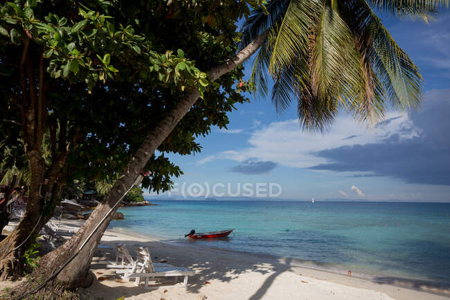 Lush tropical trees growing on sandy beach near wooden deckchairs near boat on azure water of sea in Malaysia — Stock Photo