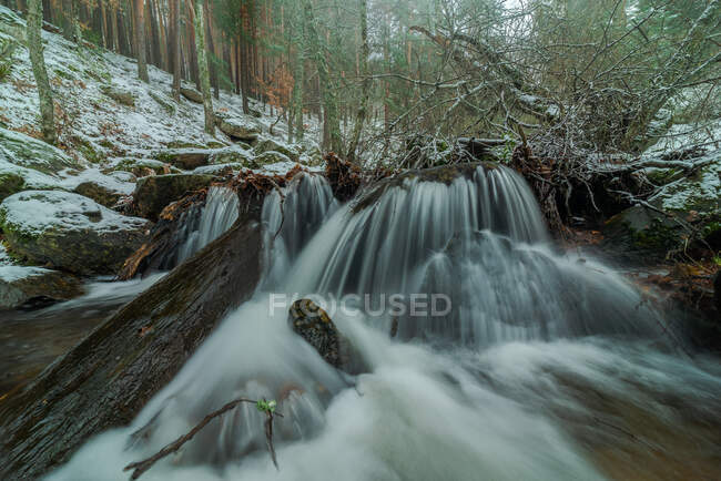 Rápida corriente fluvial que fluye a través de rocas ásperas entre árboles nevados en el Parque Nacional Sierra de Guadarrama en Madrid - foto de stock