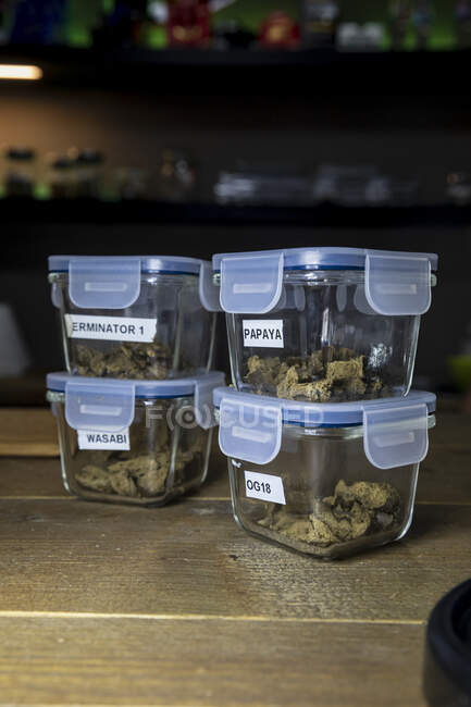 Gemme di cannabis essiccate in contenitori ermetici con titoli di ceppi di marijuana su un tavolo di legno in una stanza luminosa — Foto stock