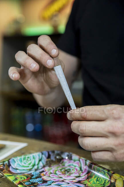 Crop unrecognizable male rolling paper spliff with dry ground hemp above tray with floral ornament in workspace — Stock Photo