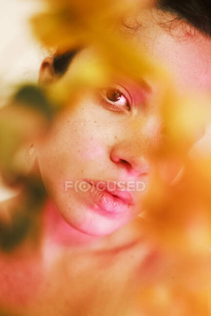 Junge sanfte Frau mit braunen Augen und lockigem Haar auf reiner Haut blickt in die Kamera — Stockfoto
