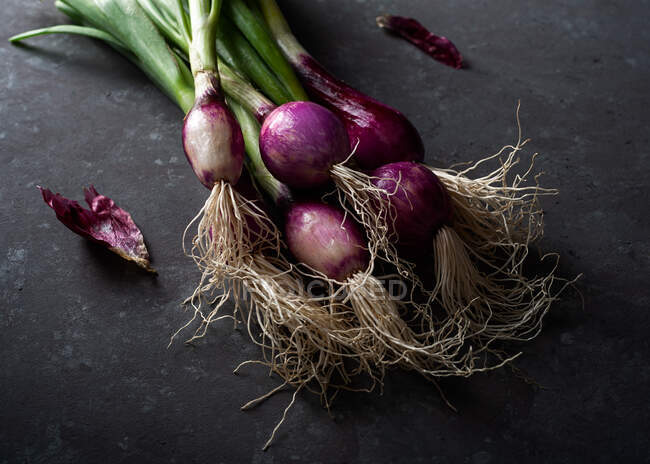 De cima de cebolas roxas maduras frescas com hastes verdes colocadas na mesa preta — Fotografia de Stock