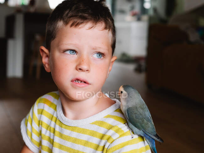 Lindo niño en camiseta a rayas sentado con pequeño pájaro con plumaje gris en casa - foto de stock