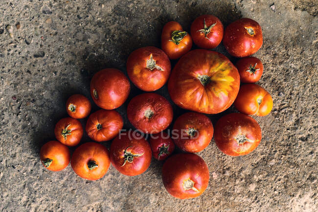 Vista superior primer plano de una pila de tomates rojos en el suelo - foto de stock