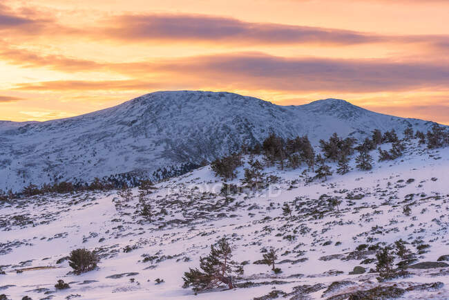 Дивовижні пейзажі схилу пагорба вкриті снігом і деревами на тлі високих скелястих гір під яскравим небом на сході сонця — стокове фото