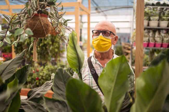 Acquirente anziano di sesso maschile in occhiali da vista e maschera protettiva scegliendo la pianta mentre distoglie lo sguardo durante COVID 19 pandemia in negozio giardino — Foto stock