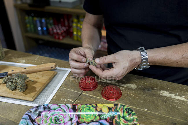 Анонімний чоловік готує сушені бутони конопель над подрібнювачем на столі з лотком на робочому місці — стокове фото