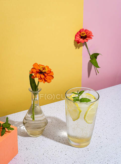 From above of glass with refreshing lemon water with sprig on mint served on table with zinnia flowers on two colored background in studio — Stock Photo