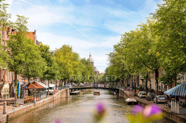 Brücke über den plätschernden Kanal, der zwischen alten Stadtgebäuden und Baumreihen in Amsterdam fließt — Stockfoto