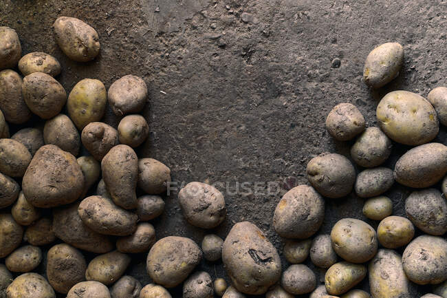 Vista superior close-up de uma pilha de batatas no chão — Fotografia de Stock