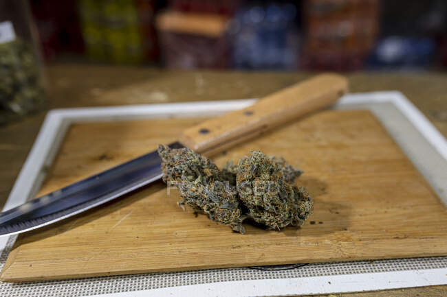 From above knife against dried hemp floral buds on chopping board in room — Stock Photo