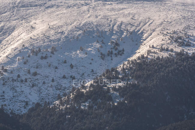 Scenario di boschi sempreverdi che crescono nella catena montuosa della Sierra de Guadarrama in Spagna sotto le nuvole cumulate — Foto stock
