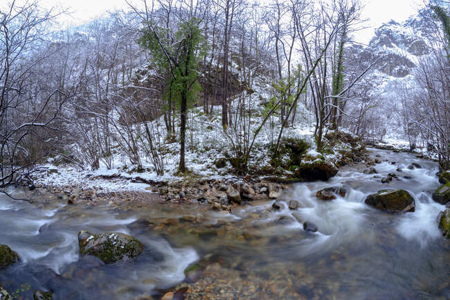 Malerischer Blick auf den schmalen, flachen Fluss, der durch ein steiniges, bewaldetes Tal fließt, mit blattlosen Bäumen, umgeben von schneebedeckten Bergen entlang der Ruta del Alba Route im Redes Naturpark in Asturien Spanien — Stockfoto