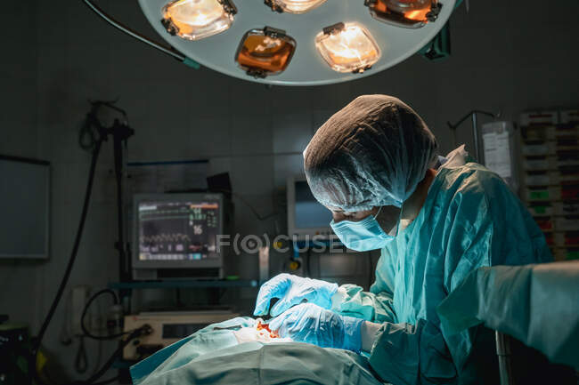 Tierarzt in sterilen Handschuhen mit chirurgischer Pinzette und Schere operiert anonymes Tier gegen Pulsmesser im Krankenhaus — Stockfoto