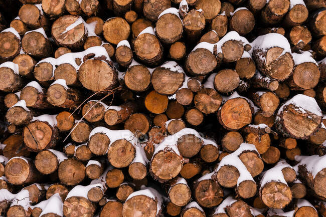 Pilha de troncos de madeira sob a neve no vale montanhoso do inverno sob céu nublado — Fotografia de Stock