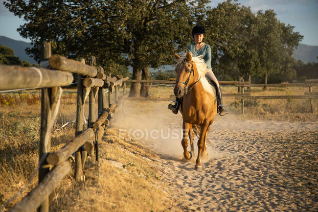 Female in protective helmet riding stallion against stables of riding school in countryside — Stock Photo
