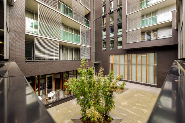 Patio avec plante en pot entre les murs d'un immeuble d'habitation contemporain avec balcons clôturés à la lumière du jour — Photo de stock