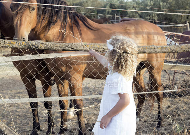 Маленька блондинка годує коня в стайні — стокове фото