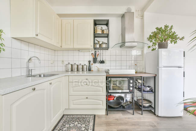Інтер'єр просторої кухні зі стильними світлими меблями і зеленими рослинами в горщиках в сучасній квартирі — стокове фото