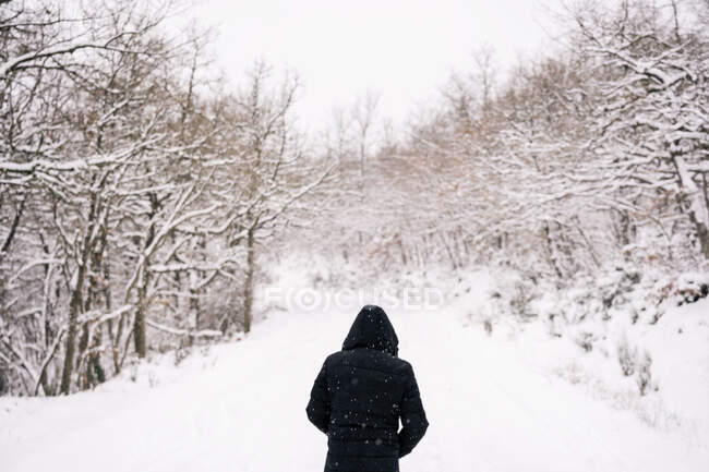 Vista posteriore del viaggiatore irriconoscibile in tuta capispalla calda che cammina sul sentiero nei boschi innevati durante la giornata invernale — Foto stock