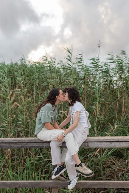 Vista lateral de encantadoras jovens namoradas homossexuais passando tempo em cerca sob céu nublado no campo da noite — Fotografia de Stock