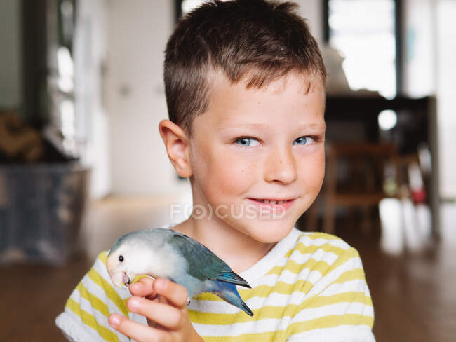 Menino bonito em t-shirt listrada sentado com pequeno pássaro com plumagem cinza em casa — Fotografia de Stock