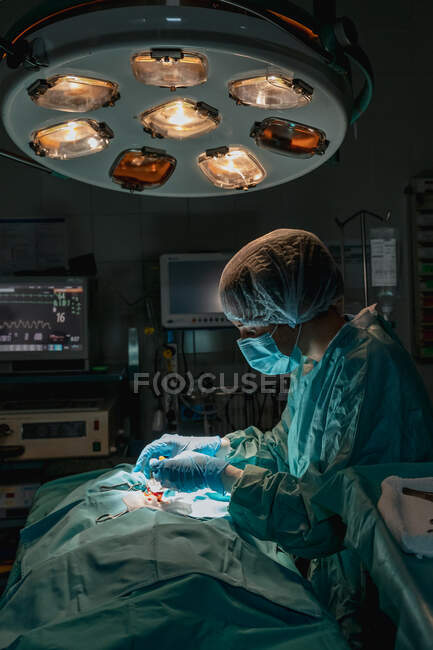 Vétérinaire en gants stériles avec pince à épiler chirurgicale et ciseaux opérant un animal anonyme contre un cardiofréquencemètre à l'hôpital — Photo de stock