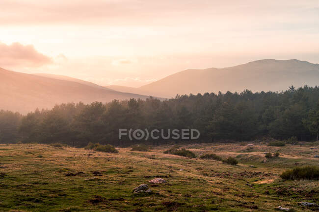 Cenário pitoresco de campo gramado colocado perto de floresta conífera contra montanhas da Serra de Guadarrama em Espanha sob céu nublado em dia ensolarado — Fotografia de Stock