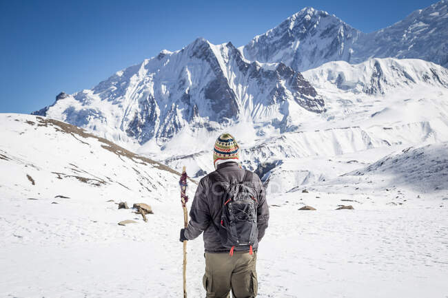 Обратный вид на неузнаваемого исследователя с рюкзаком, стоящим на скалистом крутом склоне снежной горы во время путешествия по высокогорью Непала — стоковое фото