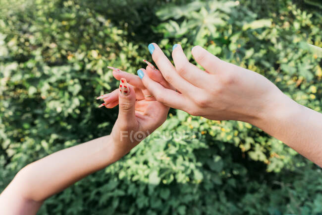 Crop anonymous best female friends with manicure holding hands against shrubs in summer park on sunny day — Stock Photo