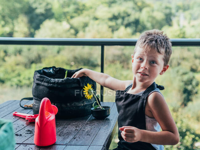 Веселий маленький хлопчик в чорному фартусі стоїть за столом і торкається землі в вазоні з зеленою рослиною на балконі проти зелених рослин вдень — стокове фото