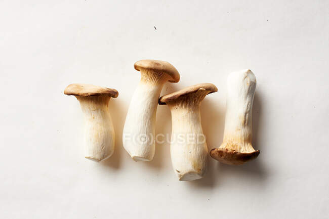 Top view of king oyster mushrooms. Forest harvest concept — Stock Photo