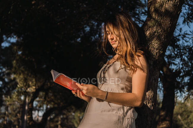 Calm female adolescent in pendant reading textbook while leaning on tree trunk in soft sunlight — Stock Photo