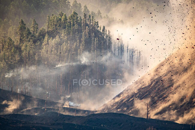 Explosions de lave du cratère près de la forêt. Éruption volcanique Cumbre Vieja à La Palma Îles Canaries, Espagne, 2021 — Photo de stock