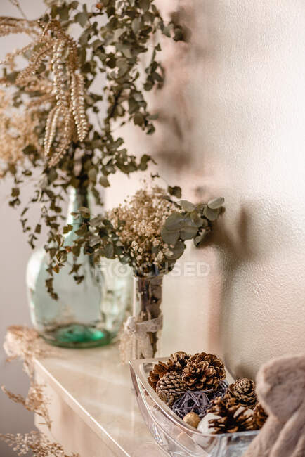 Dried branches of plants in glass vases and cones in bowl near toys decorating fireplace for Christmas — Stock Photo