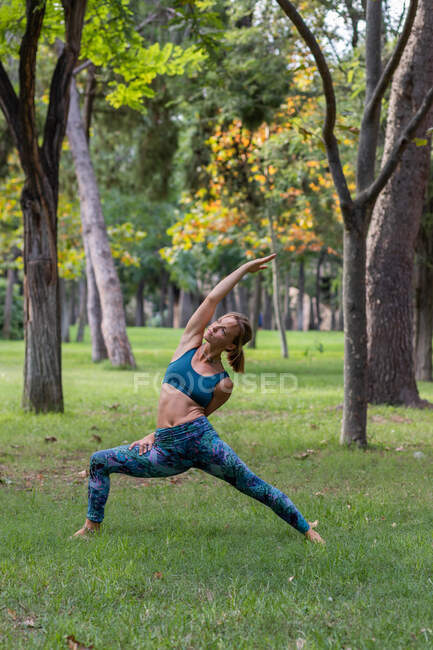 Corps complet de femme pieds nus flexible en vêtements de sport faisant Exalté Croissant Lunge sur l'herbe verte et regardant loin dans le parc en journée — Photo de stock