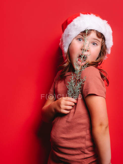 Милая изумленная маленькая девочка в повседневной одежде и шляпе Санты, держащая елочную ветку и смотрящая на камеру на красном фоне — стоковое фото