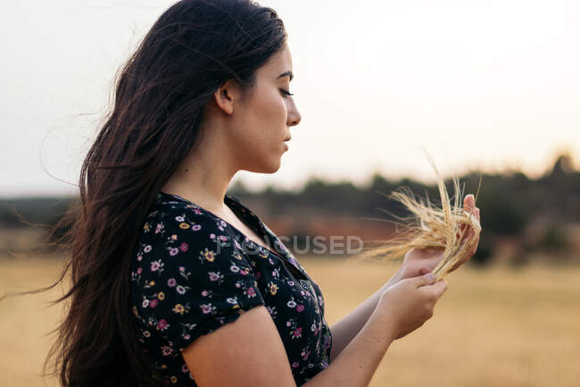 Side view of young gentle female with long hair and wheat spikes in countryside on blurred background — Stock Photo