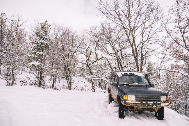 Rusty viejo coche de carretera en la nieve entre los árboles sin hojas que crecen en el bosque de invierno - foto de stock