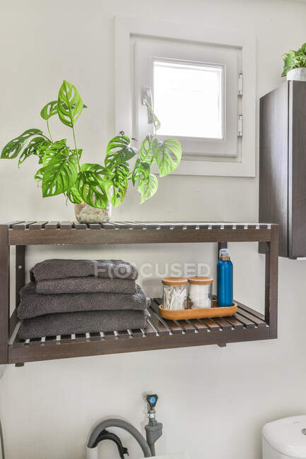Planta tropical em vaso na prateleira acima pilha de toalhas e jarro com cotonetes e almofadas no banheiro contemporâneo — Fotografia de Stock