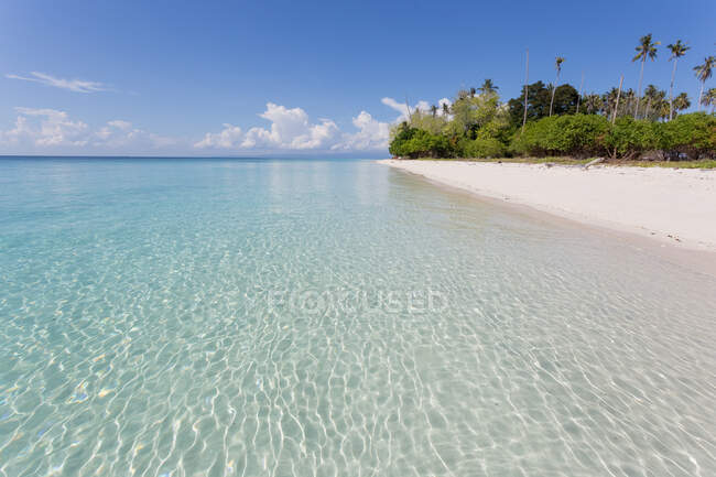 Scenery of transparent clear sea washing sandy shore with exotic trees beneath blue sky in Malaysia — Stock Photo