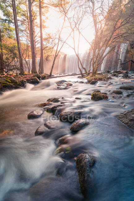 Pintoresco paisaje de cascada y río con piedras que fluyen a través del bosque otoñal en la Sierra de Guadarrama en España en un día soleado - foto de stock