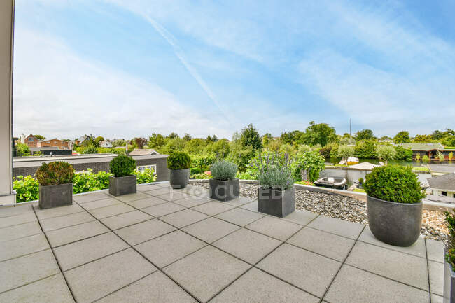 Plantas en maceta en la terraza bajo el cielo azul nublado en el día de verano a la luz del sol - foto de stock